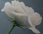 roos, acryl op doek